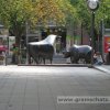 Familienausfluf nach Frankfurt/Main & Spessart
