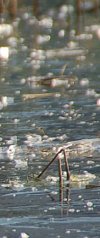 Eisgefahren Eisgefahren