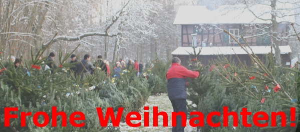 Frohe Weihnachten! weihnachtsgruss02
